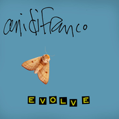 Phase by Ani Difranco