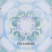polaarized