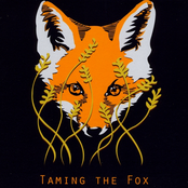 Taming the Fox