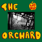 The Orchard: Log Hill