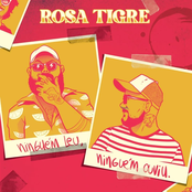 Ninguém Leu, Ninguém Ouviu