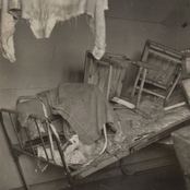 Drifted in the punt, late in the backwater