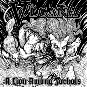 A Lion Among Jackals