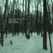 Bitsa