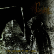 ...The Beauty Of Pain...