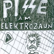 Pisse am Elektrozaun