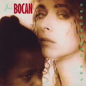 Joe Bocan: Les Désordres