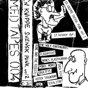 En Knippe Svensk Punk Vol 2