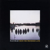 Pleasureland by Play Dead