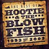 The Best of Hootie & The Blowfish (1993 - 2003)