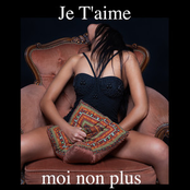 Je t'aime moi non plus (Horny Girl Moaning Version)