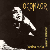 Corta Vida by O'connor