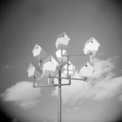 I Want To Tell My Heart To You, But I Cannot Say English