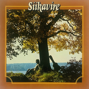 Siikavire