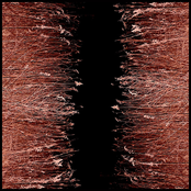 Golden Times [single]