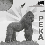 Река