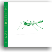 Lenzi Brothers - Grilo Verde (2002)