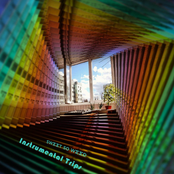 Instrumental Trips