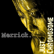 No Angel by Merrick