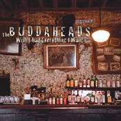 Wish I Had Everything I Want