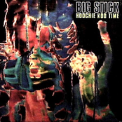 Hokey Pokey Girl by Big Stick