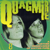 Quagmire Volume 8: A Further Observance Of Sixties Punk
