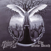 Majestic Downfall / The Slow Death