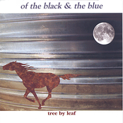 Of the Black & the Blue