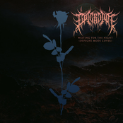 Waiting for the Night