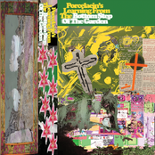 Porcelaein's Learning From The Bottom Step of The Garden