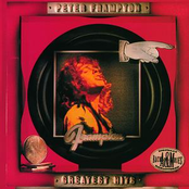 Signed, Sealed, Delivered I'm Yours by Peter Frampton