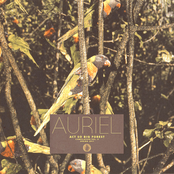 Act So Big Forest Compilation Vol. 2: AURIEL