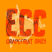 Grapefruit Baby