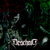 Upon the Oaken Throne