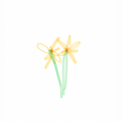 เก็บดอกไม้