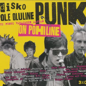 Disko Pole Oluline, Punk On Põhiline