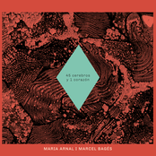 45 cerebros y un corazón