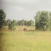 foresteppe