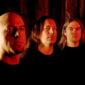 dying fetus