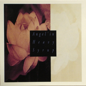 Angel 'In Heavy Syrup