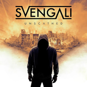 Embrace by Svengali