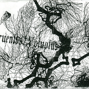Cruentos Voluptus