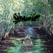 Live at Shallow Grave 6