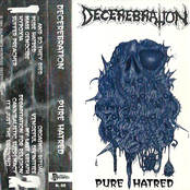 Pure Hatred (Demo)