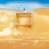 Les voies de la relaxation: la gestion du stress au travail (Embellir la vie par la relaxation)