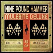 Folsom Prison Blues by Nine Pound Hammer