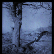 Cursillistas / Love Cult split