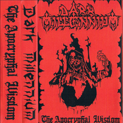 The Apocryphal Wisdom