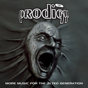 Their Law by The Prodigy