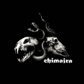 Nothing Remains by Chimaira